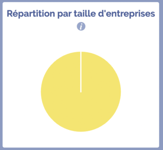 Nombre pme Annemasse